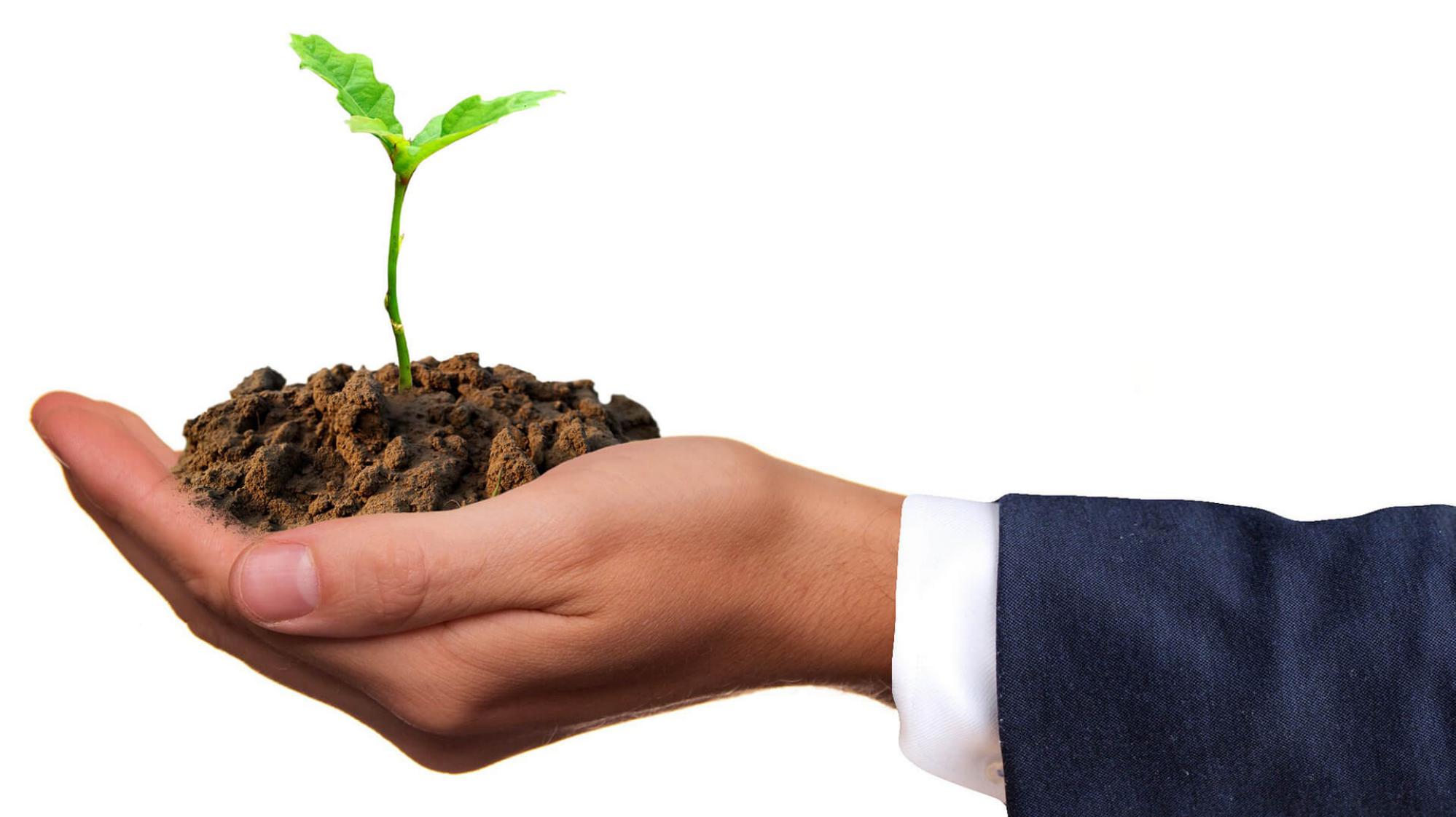 Família e Sucessões - Mattos Rocha Advogados